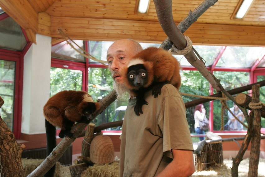 Śląski Ogród Zoologiczny od kuchni