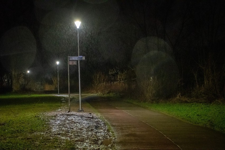 Oświetlenie ścieżki pieszo-rowerowej wzdłuż Raby na...