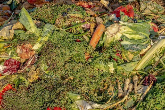 Kompostowanie spowoduje zmniejszenie rachunków za wywóz śmieci.