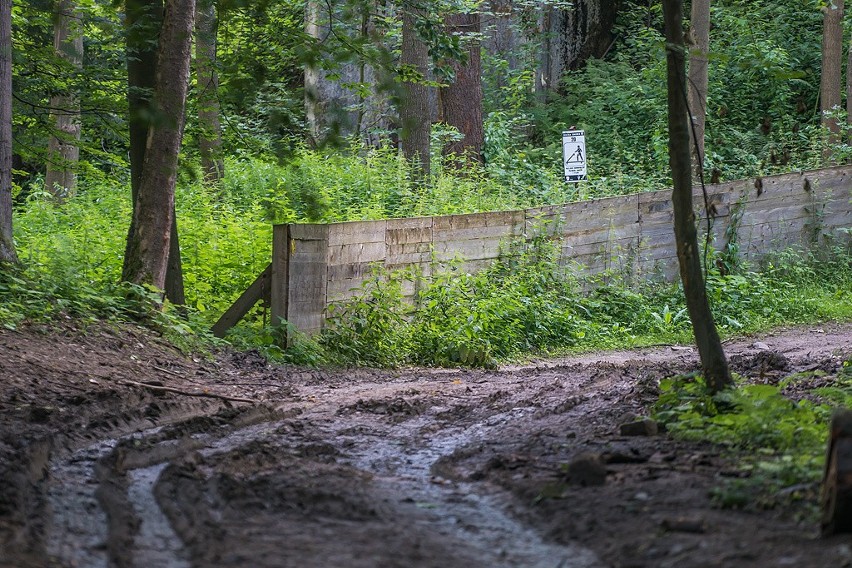 Spacer na Górę Parkową grozi skręceniem kostki