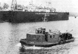 Tajemnice niemieckiej torpedowni na Miedwiu [ZDJĘCIA, WIDEO]
