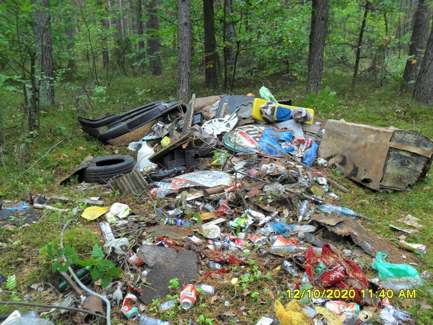 Nielegalne wysypisko śmieci w lesie pod Ostrowią Mazowiecką