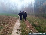 Poszukiwania kobiety w gminie Baćkowice. W akcji ponad setka policjantów i strażaków. Zobacz zdjęcia