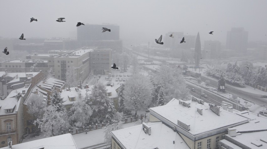 Zima wróciła do Rzeszowa. Zobaczcie zaśnieżone miasto w...