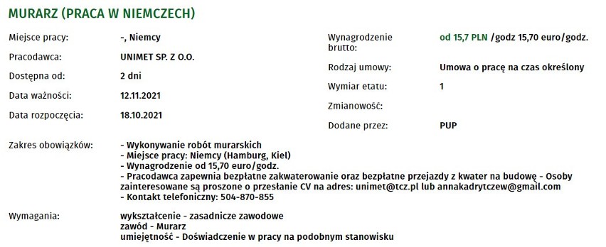 Nowe oferty pracy w Niemczech. Ile można zarobić? Kogo szukają pracodawcy? SPRAWDŹ! 8.11.2021