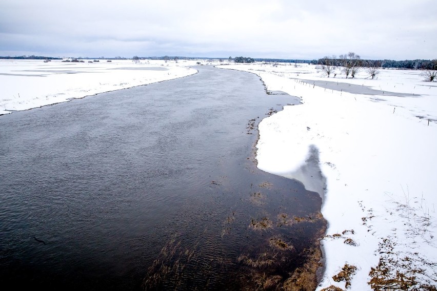 Rzeki Bug i Narew przekroczyły w poniedziałek stan...