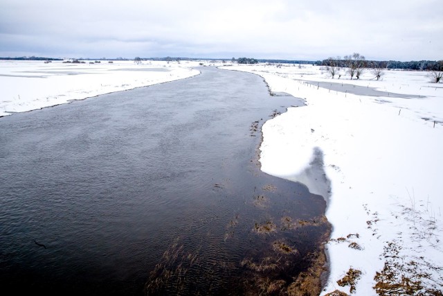 Rzeki Bug i Narew przekroczyły w poniedziałek stan ostrzegawczy. Niepokojący poziom wód odnotowano we Frankopolu i w Wyszkowie. Narew osiągnęła stan ostrzegawczy w Ploskach.