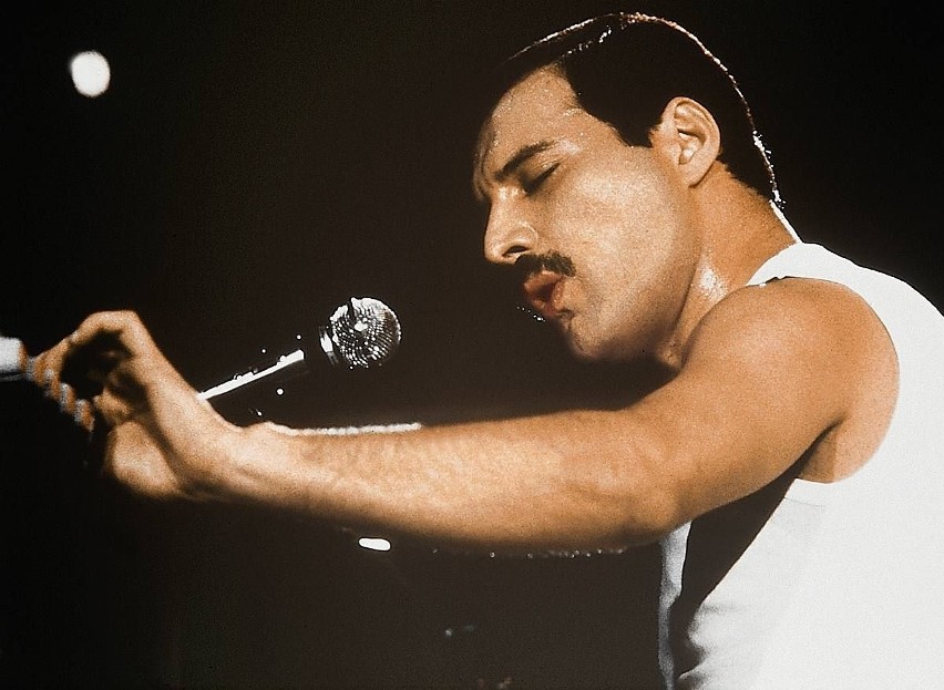 "Freddie Mercury: the Tribute Concert" - TVP Kultura, godz....
