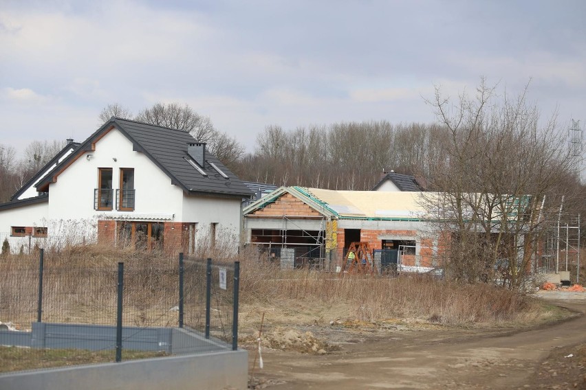 Pszczelnik w Siemianowicach i powstające tu nowe osiedla