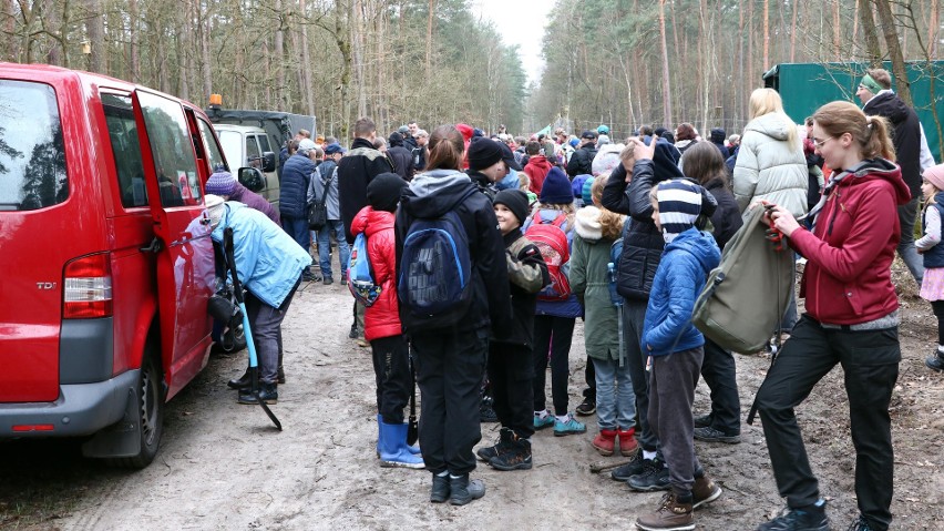 Akcja "Grudziądzanie sadzą las" w sobotę 15 kwietnia 2023