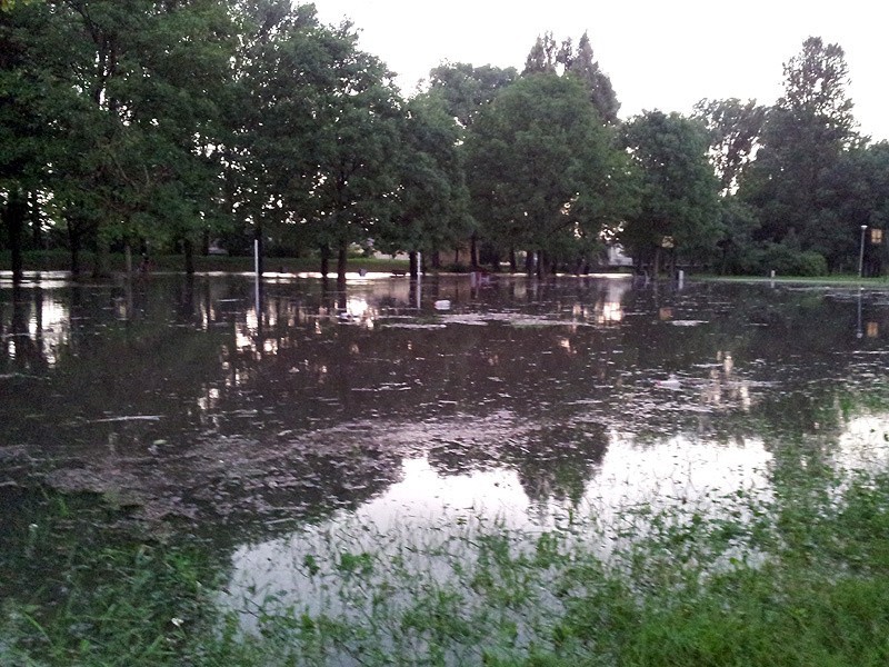 Rzeka Biała zalała park.