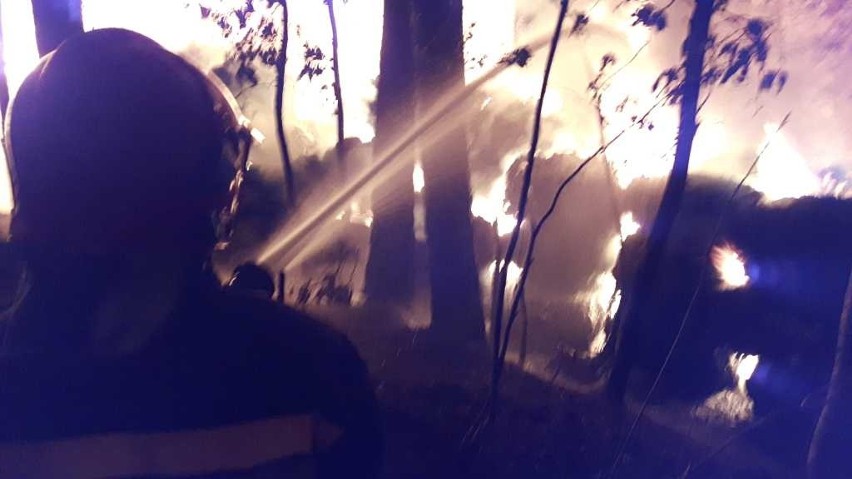 Gigantyczny pożar w Wąchocku! Płonęły dwie hale 