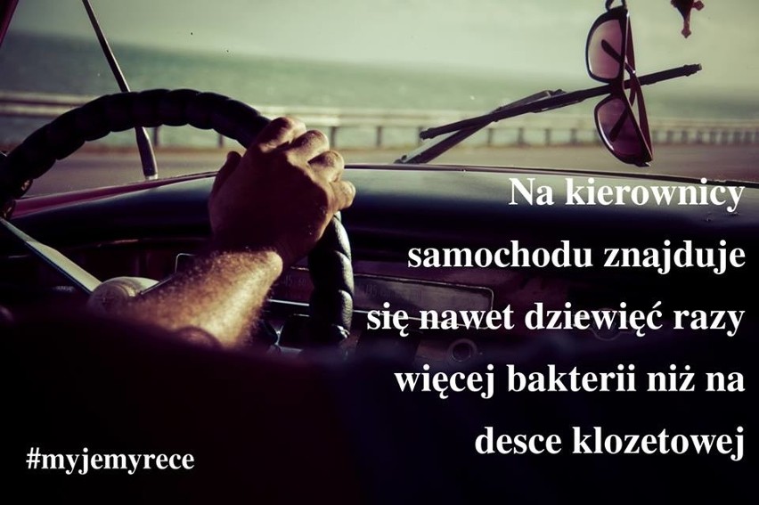 Na których przedmiotach codziennego użytku znajduje się najwięcej bakterii? Odpowiedzi zaskakują [ZDJĘCIA]