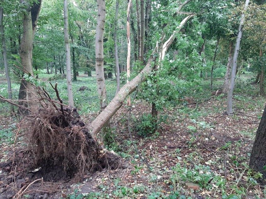 We wtorkowe popołudnie nad Wielkopolską przeszła gwałtowna...