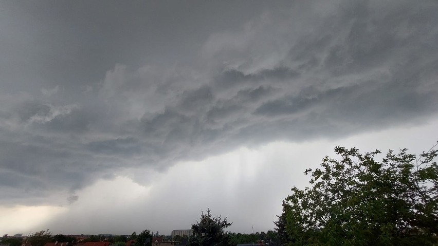 Burza w Dzierżoniowie i Strzelinie na Dolnym Śląsku. Nie żyje jedna osoba, dziesiątki powalonych drzew [ZDJĘCIA]