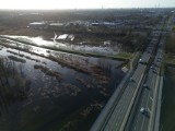 Bardzo wysoki poziom rzek na Dolnym Śląsku. IMGW przedłużyło ostrzeżenia na kolejne dni