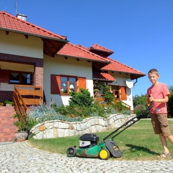 W domu państwa Goczołów z Rozmierzy o trawę dba syn Karol.