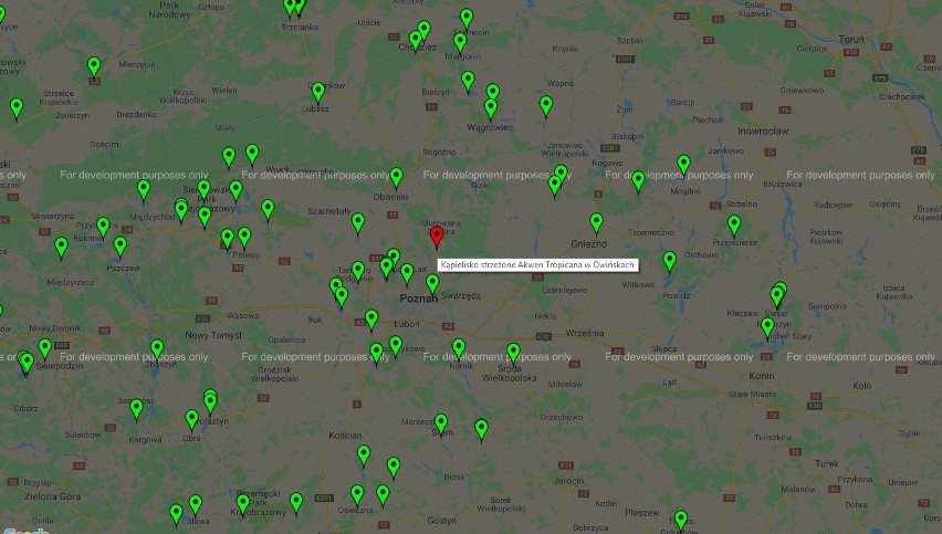 Sinice W Wielkopolsce. Zakaz kąpieli przez sinice. Oto lista...