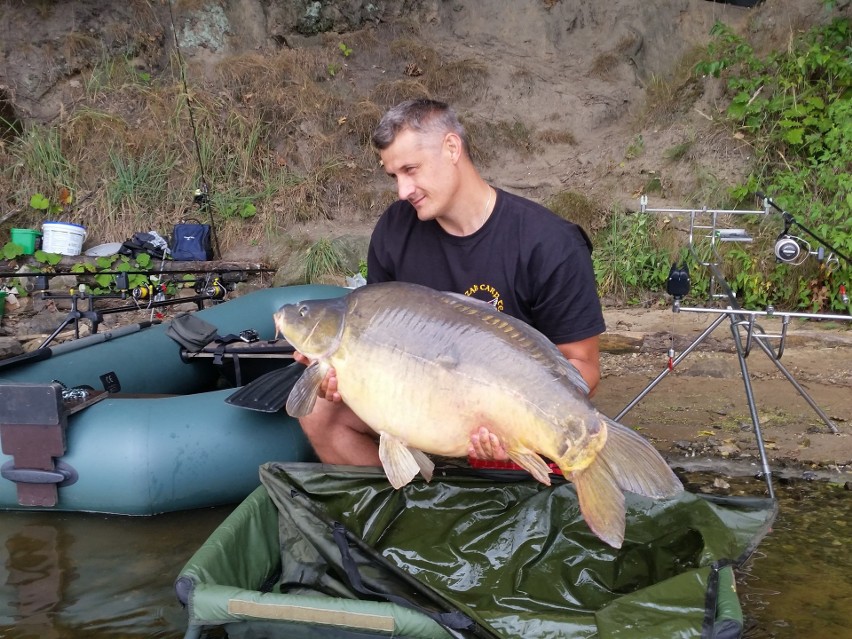 Wędkarze z Rybnika: coś zabija karpie-giganty w Zalewie...