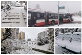 Atak zimy w Śląskiem. Sypnęło śniegiem, ślisko na drogach. W sobotę 21 stycznia nadal obowiązuje alert pogodowy. Może padać i mocno wiać 