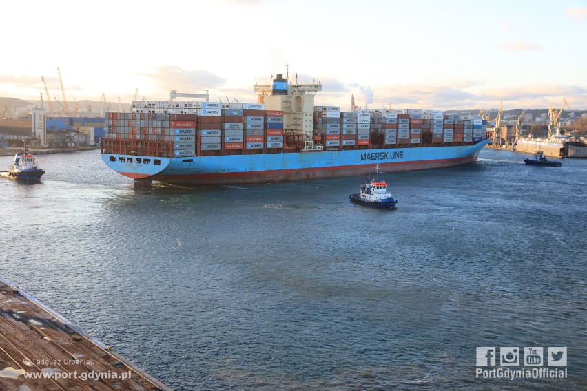 Charlotte Maersk w Porcie Gdynia, 12.02.2019