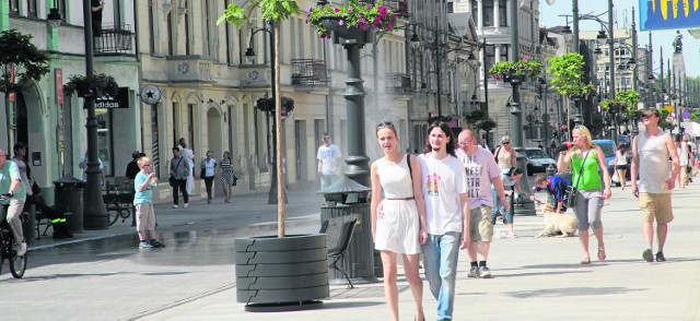 Właściciele sklepów przy Piotrkowskiej są zgodni: ani granitowa nawierzchnia, ani drzewa nie poprawiły ich sytuacji. Klientów mogłyby im przysporzyć tanie parkingi i dobry dojazd do głównej ulicy Łodzi