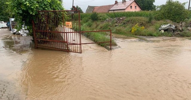 Zalane posesje to najczęstszy powód interwencji strażaków. Zobacz kolejne zdjęcia. Przesuwaj zdjęcia w prawo - naciśnij strzałkę lub przycisk NASTĘPNE