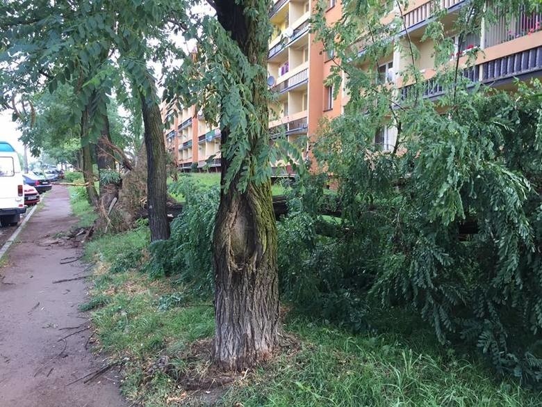 Burze na Śląsku i w Zagłębiu: kilka tysięcy osób bez prądu, powalone drzewa, uszkodzone dachy ZDJĘCIA