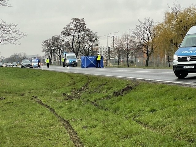 Z ustaleń policji na miejscu wynika, że kierowca próbował wrócić na jezdnię i po kilku próbach udało mu się uciec z miejsca wypadku.