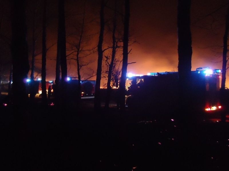 25 hektarów lasu spłonęło w nocy ze środy na czwartek w...