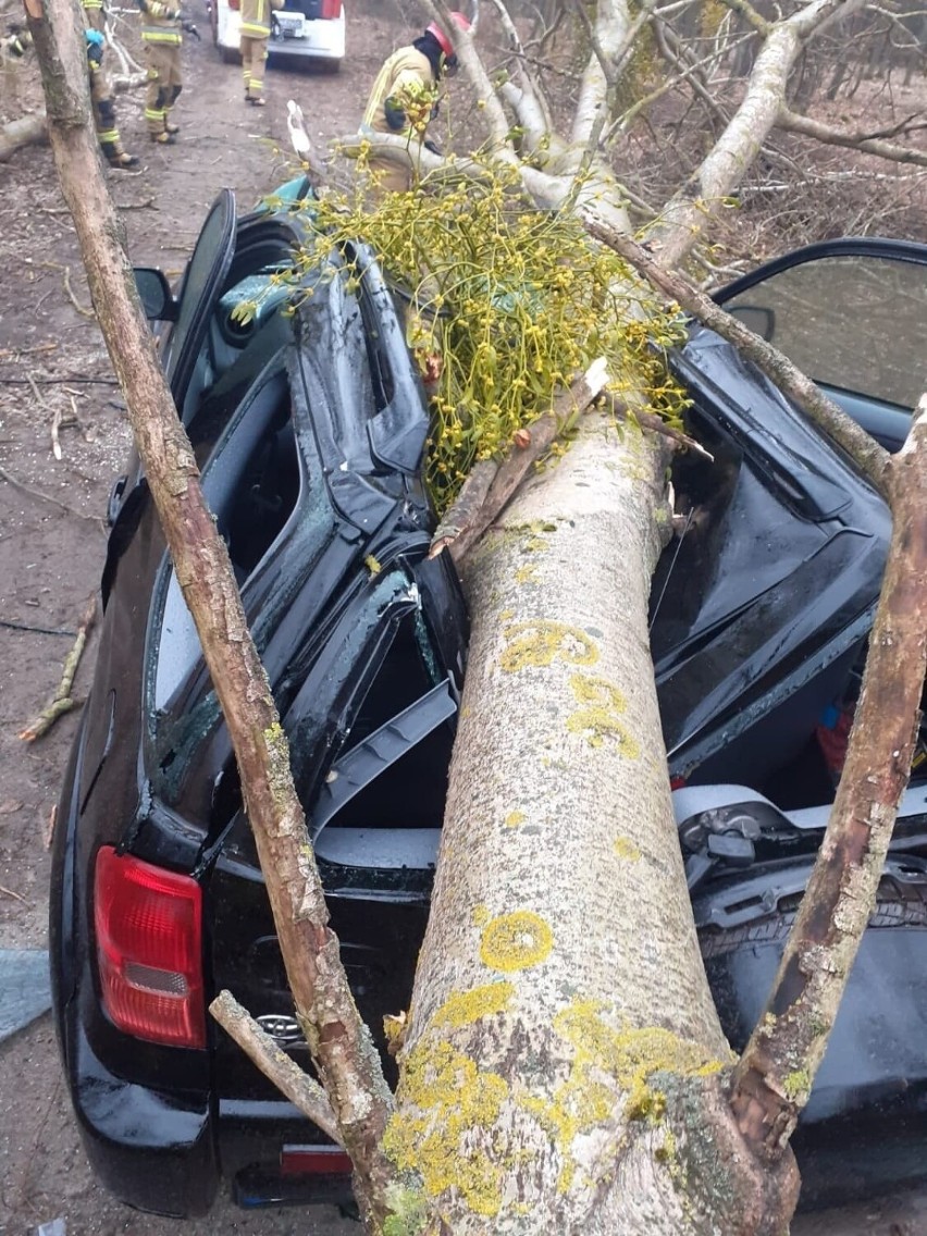 Kierowca wysiadł z pojazdu o własnych siłach....