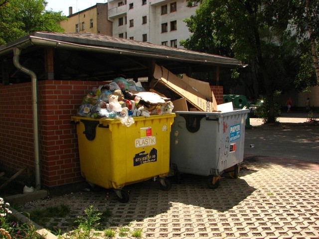Na podwórku przy ul. Reja śmieci wysypują się z kontenerów.