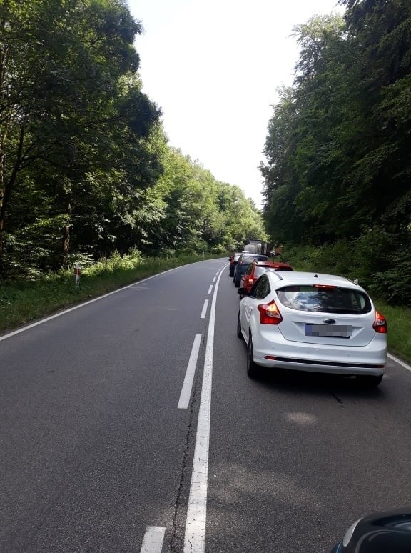 Śmiertelny wypadek na starej "trójce". Motocyklista wjechał w sarnę i zginął na miejscu [ZDJĘCIA Z MIEJSCA WYPADKU]