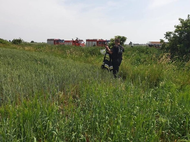 Na miejsce przyjechali strażacy, policja i lekarz. Pilota nie udało się uratować, zginął na miejscu. 