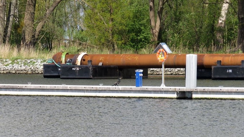 Pogłębienie toru wodnego Świnoujście - Szczecin. Rozpoczęły się prace. Inwestycja za 1,4 mld - 12.05.2020