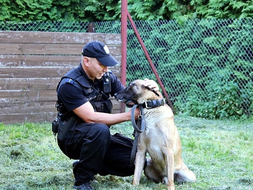 Siemianówka. Włamał się do domku letniskowego i przyczepy kempingowej. Ukradł... 50 puszek piwa