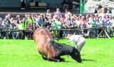 Zamek w Podzamczu na Jurze  będzie zachęcał turystów nowymi gankami