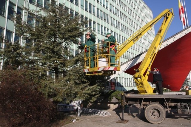 Drzewa przed Urzędem Wojewódzkim zostały ubrane w świetlne kurtyny