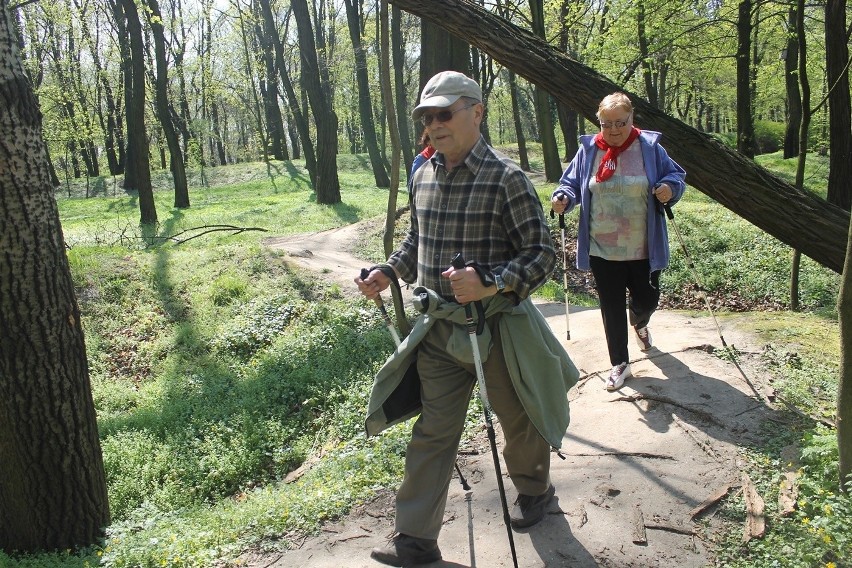 Kolejna wyprawa Nordic Walking z Tygodnikiem [Zdjęcia]