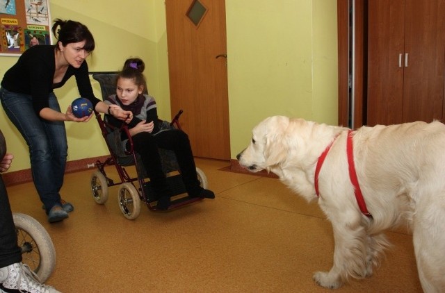 Aleksandra Matysiak prowadzi z dziećmi w Praszce dogoterapię, czyli zajęcia z psem. Terapia ta jest organizowana dzięki pieniądzom 1 procenta.