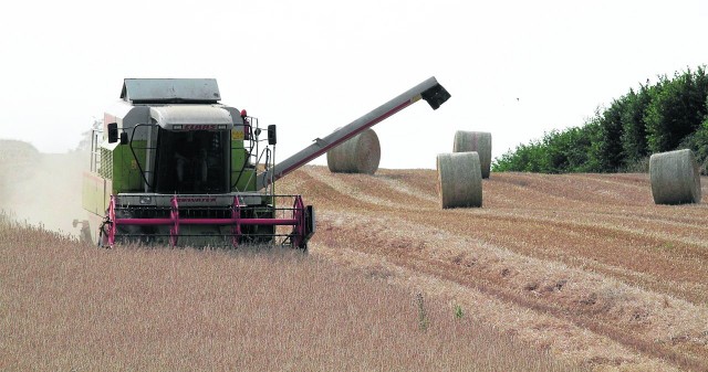 Rolnicy uprawiają agencyjne ugory. Bez umowy, ale z karą