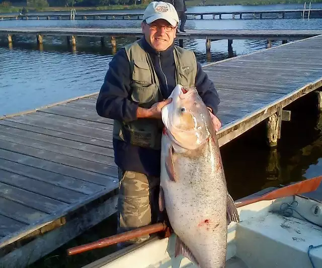 Chociaż ciężko w to uwierzyć, taaaką rybę złowił pan Łukasz Chrustowicz. 35,5 kilograma.
