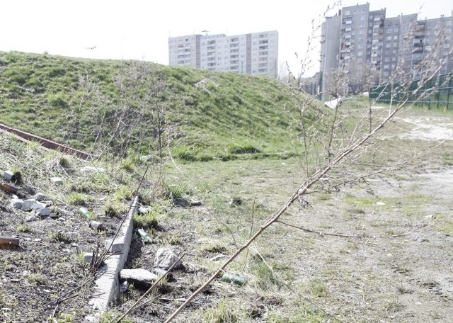 Terenów rekreacyjnych z zielenią powinno być więcej, bo na Malince mieszka około 10 tysięcy osób.