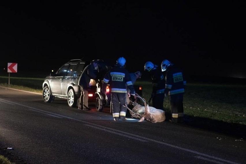 Groźny wypadek na drodze między Święciechową a Gołanicami w...