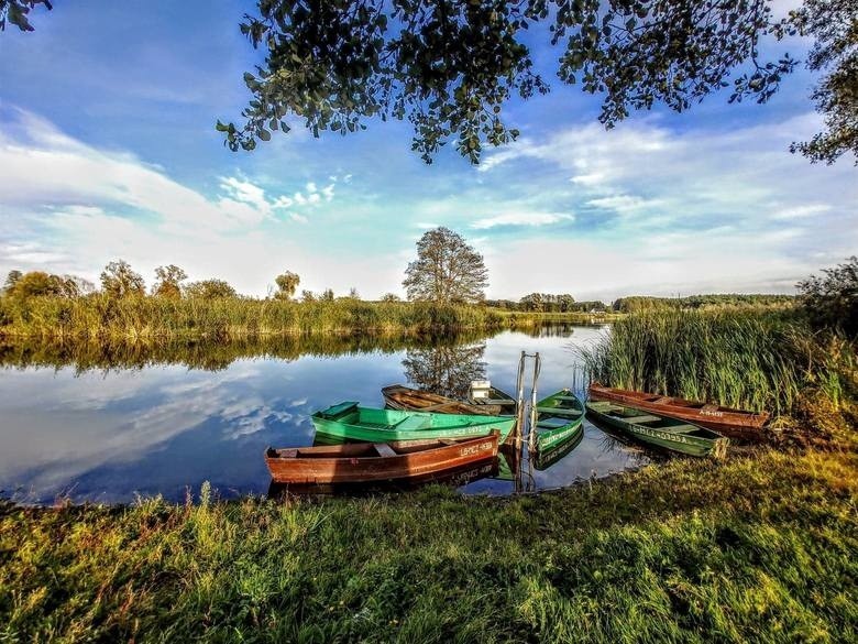 Jeziora Trzciela, czyli poznaj tajemnice Wyspy Kormoranów