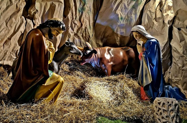 W okresie świąt Bożego Narodzenia w kościołach można zobaczyć przepiękne szopki, które każdego roku przyciągają tłumy krakowian i turystów.
