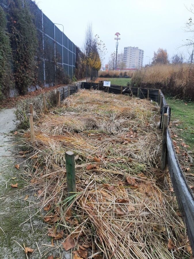 Kraków. W jednym z parków powstał... hotel dla jeży