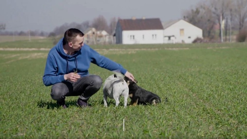 Takie gospodarstwa mają uczestnicy 9. edycji "Rolnik szuka żony". Jest hodowca kóz, krów, sadownik