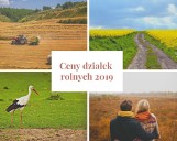 Panie, co tak drogo? Ceny działek rolnych w 2019 r. Przykłady z ogłoszeń