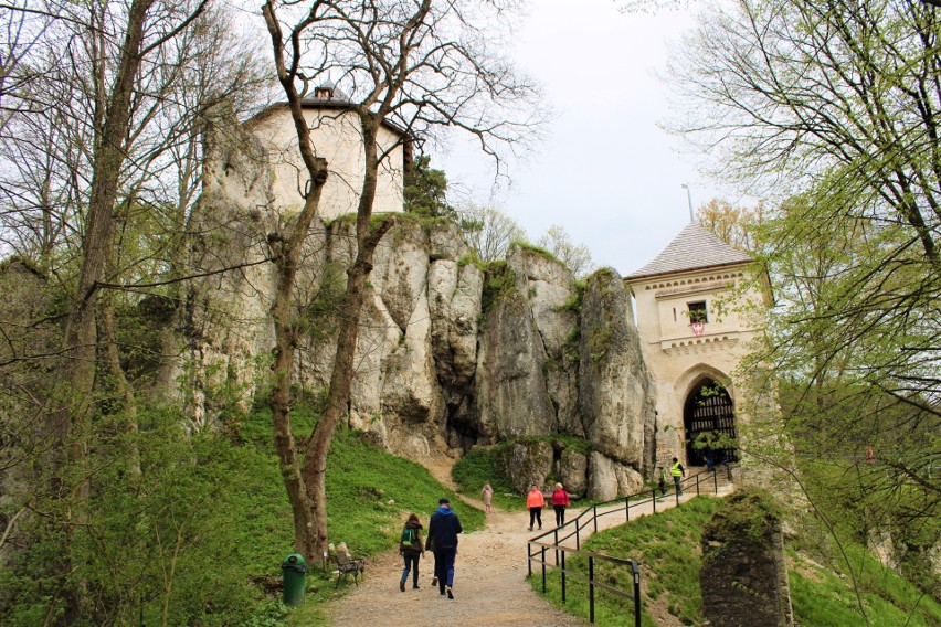 Zamek w Ojcowskim Parku Narodowym
